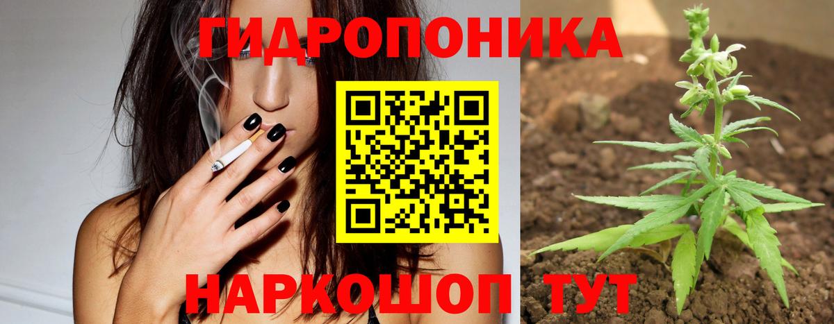Кокаин  Конопля  Камышин  Каннабис  Меф   Вход с VPN 